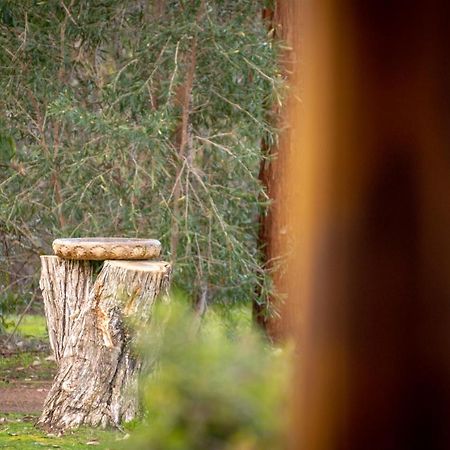Margaret River Chalets エクステリア 写真