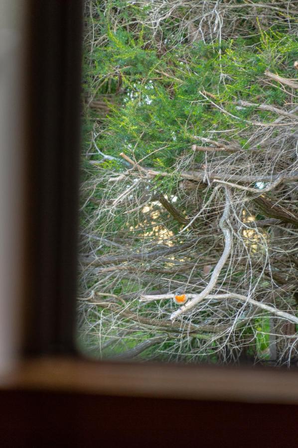 Margaret River Chalets エクステリア 写真